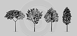 Set of tree silhouettes isolated on white background for landscape design.