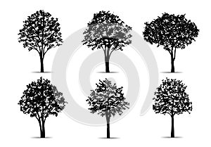 Set of tree silhouettes isolated on white background for landscape design and architectural compositions with backgrounds. Vector