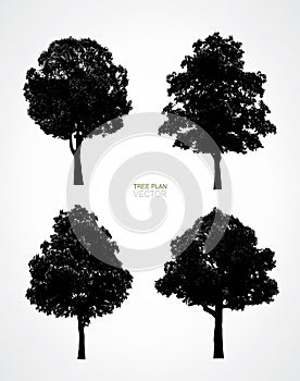 Set of tree silhouettes isolated on white background for landscape design and architectural decoration. Vector
