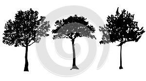 Set of tree silhouettes isolated on white background vector design