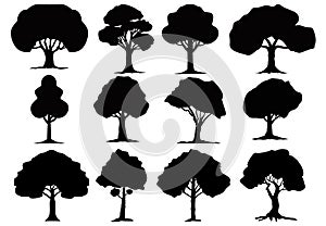 Set tree silhouettes vector illustrations