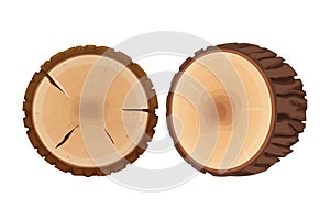 Set of tree stumps, cross section of tree, textured, detailed isolated on white background in flat cartoon style. Cut