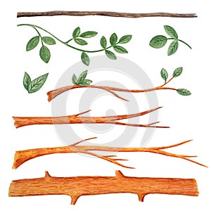 Set of tree trunk branches. Color watercolor illustration