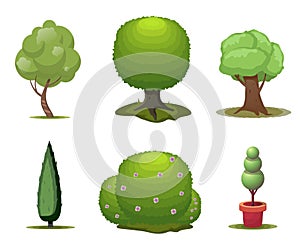 Set of trees. Cartoon trees isolated on a white background