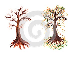 Set of trees. Fall of yellow leaves and a tree without foliage. Autumn and withered dead tree. Nature. ecology. Plants. Watercolor