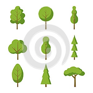 Set of trees - fir-tree, pine, oak. Flat style icons