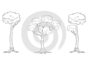 Set of trees outline on a white background