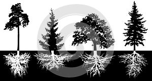 Set of trees with roots, vector silhouette.