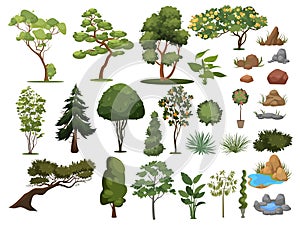 Set of trees and shrubs. Collection of landscape design elements. Vector illustration of plants. Coniferous and