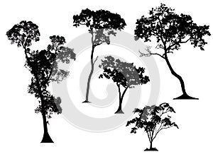 Set of trees silhouettes