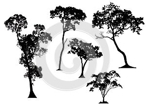 Set of trees silhouettes photo