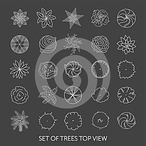 Set of trees. Top view