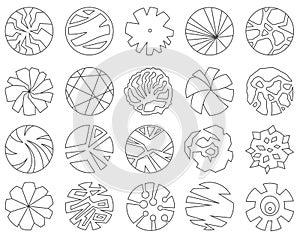 Set of trees top view for landscape design. Icons for architectural plans. Vector
