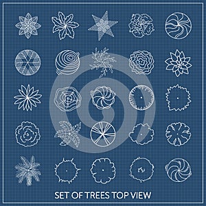 Set of trees. Top view