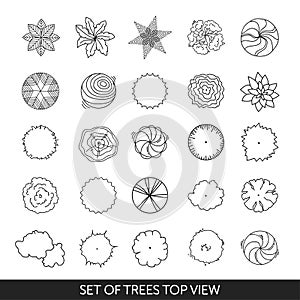 Set of trees. Top view
