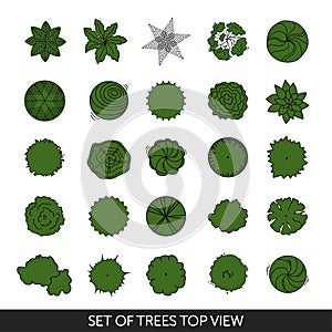 Set of trees. Top view