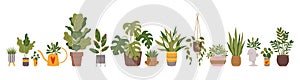 Set of trendy indoor houseplants. Potted plants for home, urban jungle decor. Modern vector illustration isolated on