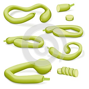 Set of Tromboncino Squash