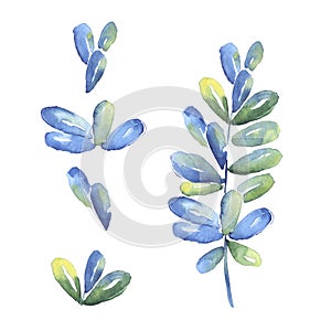 Set of tropical blue leaves