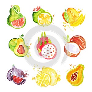 Set of tropical colorful watercolor fruits vector Illustrations