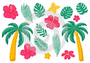 A set of tropical, exotic leaves and flowers. Palm, hibiscus, plumeria. Bright botanical vector illustrations in a flat style.