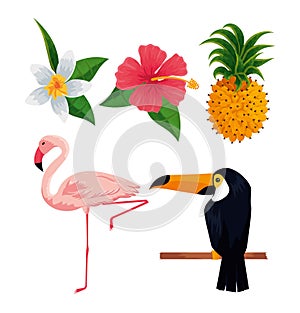 set tropical flowers with flamish and toutan photo