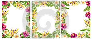 Set Tropical frame. Hand drawn watercolor painting with hibiscus, strelitzia, paradise bird flowers and palm leaves