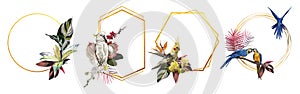 A set of tropical frames. Parrots. Realistic illustration of tropical flowers and leaves.