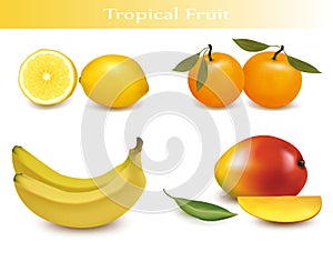 Set of tropical fruit.