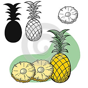 Set of tropical fruits, pineapple fruit with a piece, vector , on a transparent background