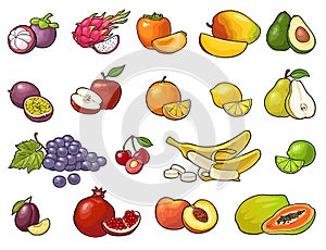 Set tropical fruits. Vector black vintage engraving isolated on white