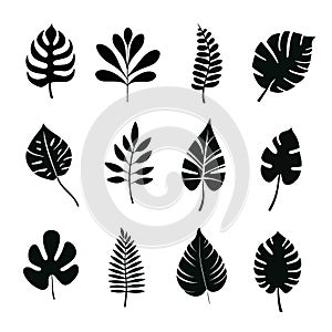 Set of tropical leaves silhouette.