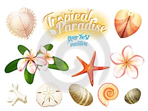 Set of tropical nature objects: sea shells, plumeria flowers frangipani sand dollar, starfish and water-worn pebbles.