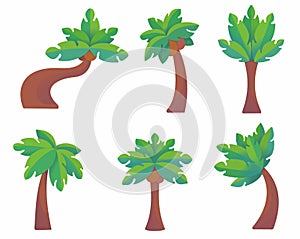 Set of tropical palm trees. Vector isolated palms on the white background. Flat design