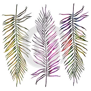 Set of tropical plants. Branches with leaves. Watercolor.