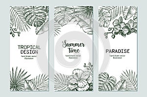 Set of tropical plants drawn in vector.