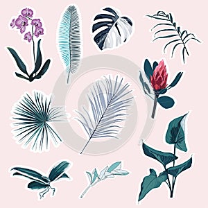 Set of tropical protea, orhid flowers and blue leaves elements. Set of stickers, pins, patches and handwritten notes collection
