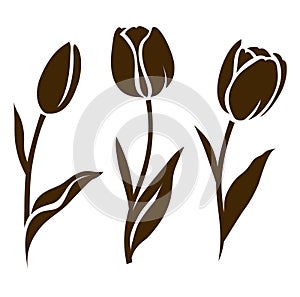 Set of tulip silhouette. Vector illustration. Collection of decorative flowers photo