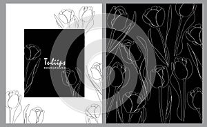 Set of tulips line arts tulips hand drawn vector banner