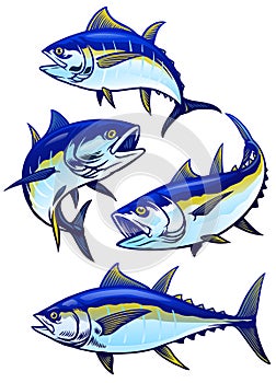 Set of tuna fish in colors version