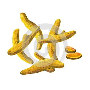 The set of turmeric isolated on white background.  Watercolor illustration
