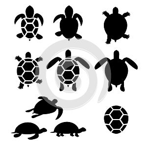 Set of turtle and tortoise silhouette photo