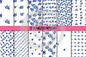 Set of twelve seamless patterns with blue flowers