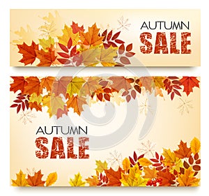 Set Of Two Autumn Sale Banners With Colorful Leaves And Berries.