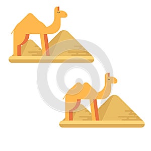 A set of two camels on the background of pyramids of giza.