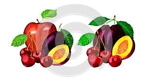 Set with two compositions of garden fruits and berries.Watercolor illustration on white background.Organic and healthy food