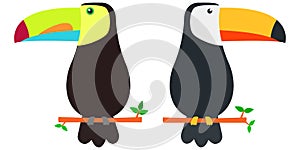 Set of two different toucan birds