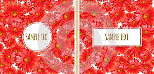 Set of Two Gerbera Backgrounds
