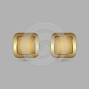 Set of two Golden rectangle blank button for website UI vector design