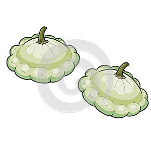 Set of two green squash, cartoon illustration, isolated object on white background, vector